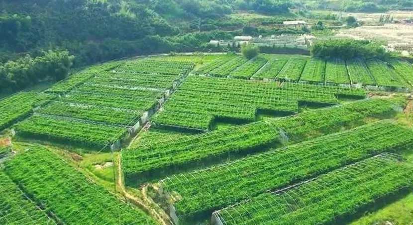 1712055161178861.jpg 1712055161178861.jpg