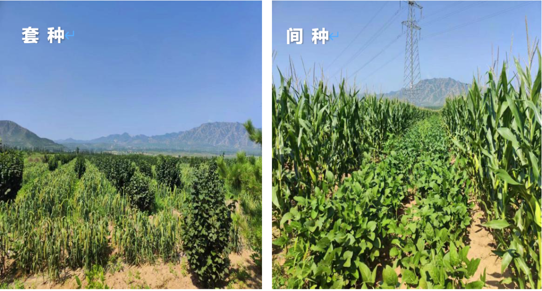 1712055214965383.png 1712055214965383.png